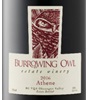 Burrowing Owl Athene 2016