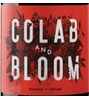 Colab And Bloom Shiraz 2017