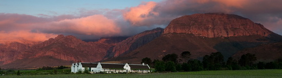 avondale winery South Africa