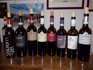 Oct 3 2015 Blogger Tour Wine Bottles