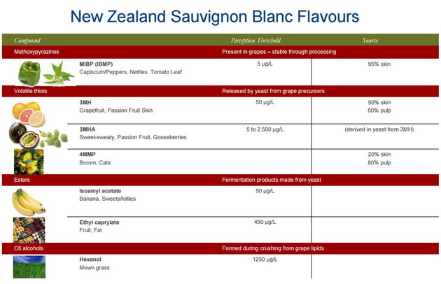 sauv-blanc-flavors