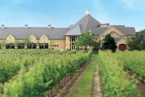 Experience Wine and Food at Peller Estates