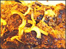 Chicken Tikka - Tandoori Spice Marinated Chicken