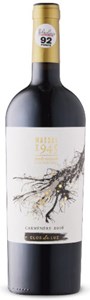 Clos de Luz Massal 1945 Carmenère 2018