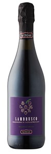 Cantina Settecani Grasparossa di Castelvetro Secco Lambrusco