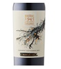 Clos de Luz Massal 1945 Cabernet Sauvignon 2021