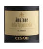 Cesari Amarone della Valpolicella Classico 2006