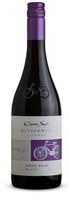 Cono Sur Bicicleta Reserva Pinot Noir 2020