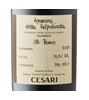 Cesari Il Bosco Amarone della Valpolicella Classico 2008