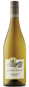 Thierry Delaunay Le Grand Ballon Sauvignon Blanc 2020