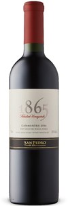 San Pedro 1865 Single Vineyard Carmenère 2009