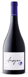 Garcés Silva Amayna Syrah 2015