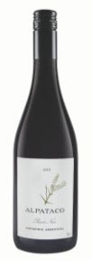 Alpataco Pinot Noir 2023