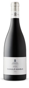 Abbotts & Delaunay Cumulo Nimbus Syrah 2014