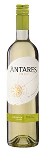 Santa Carolina Antares Sauvignon Blanc 2021