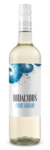 Bodacious Pinot Grigio