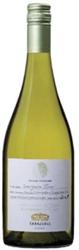 Errazuriz Aconcagua Costa Sauvignon Blanc 2013