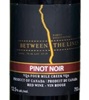 Between The Lines Winery Pinot Noir 2019