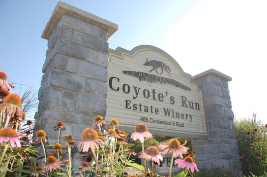 Coyote's Run Estate Winery