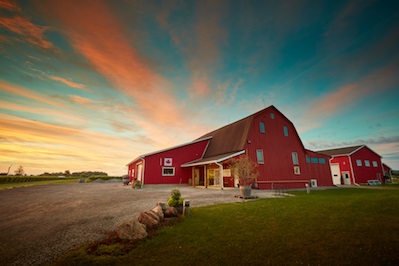 Between The Lines Winery