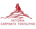 Fattoria Carpineta Fontalpino