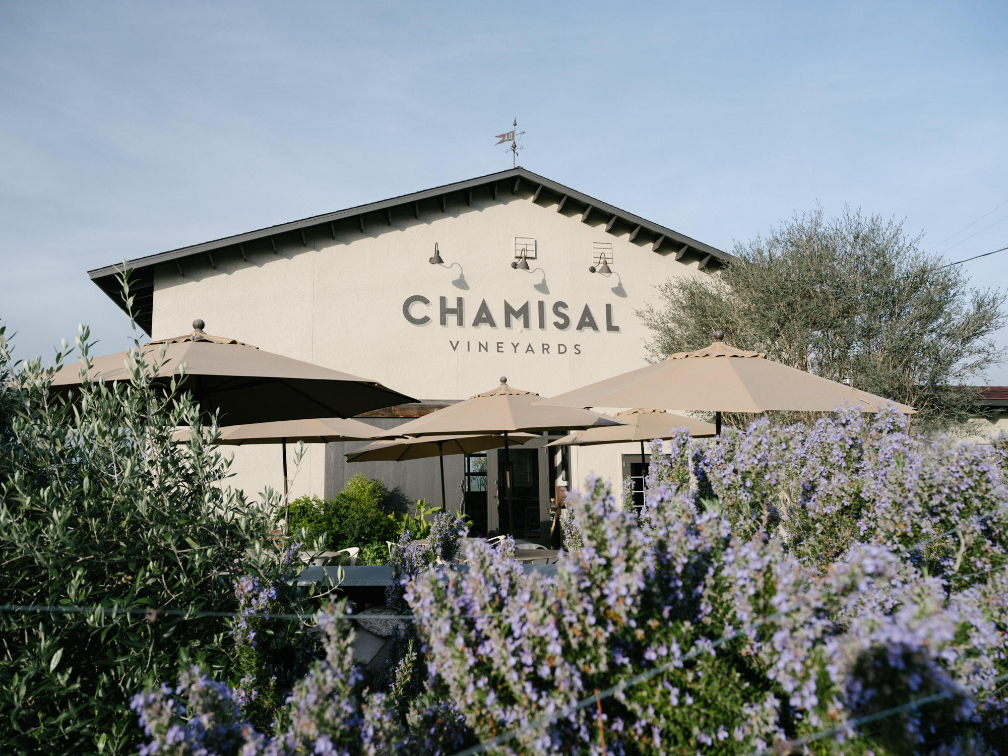 Chamisal Vineyards