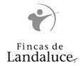 Landaluce