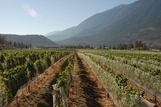 Fort Berens Estate Winery