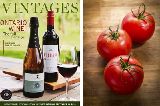 Catalogue and Tomatoes With.jpg